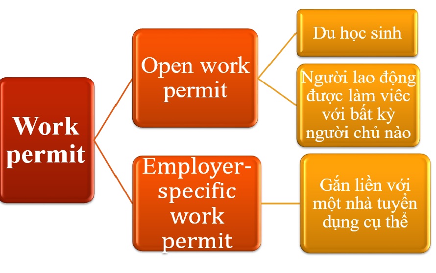 Cac-loai-work-permit
